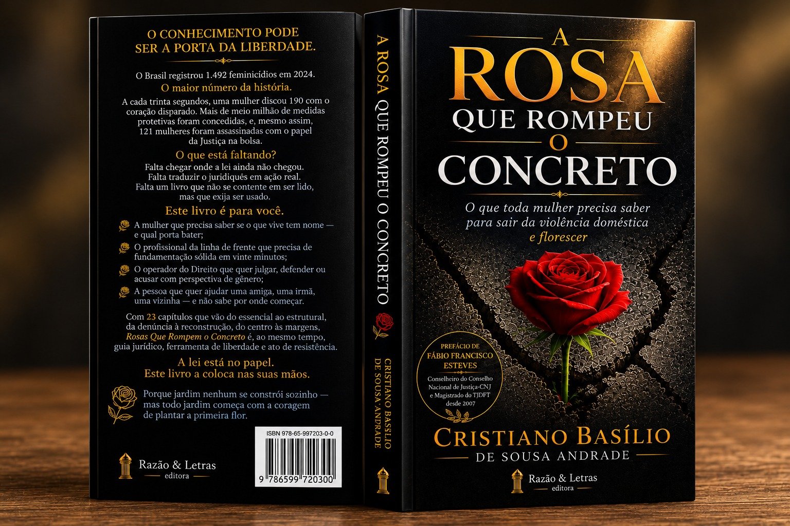 A ROSA QUE ROMPEU O CONCRETO - Imagem 2